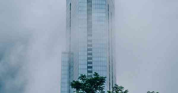 外国语单招大数据的行业文章