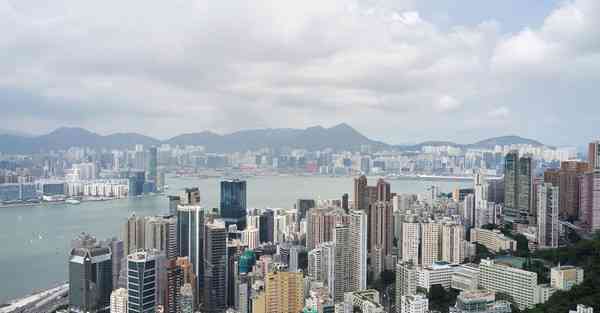 大数据影视软件