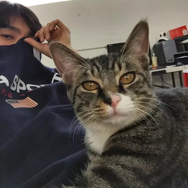 夏玲行顺