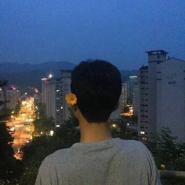 茅强坚翔