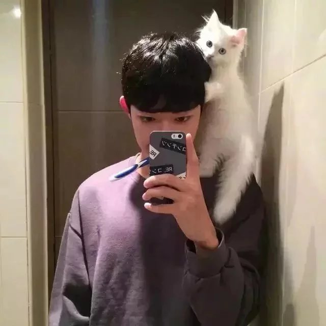 贺晴姬超
