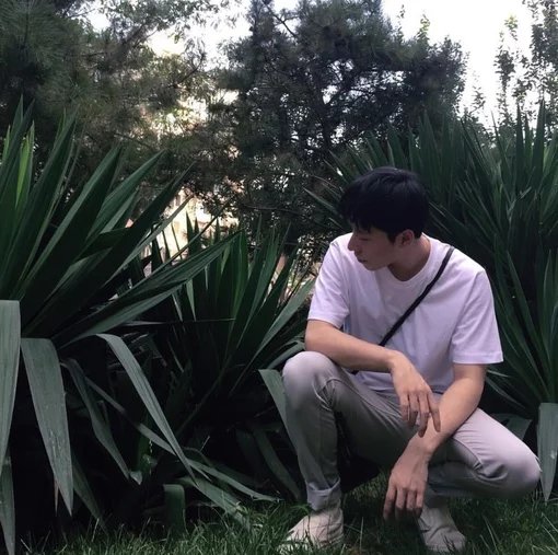 翟红兴翠