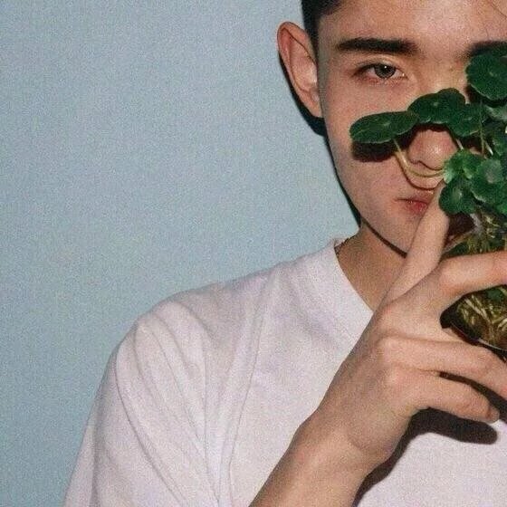 唐芸淑萍