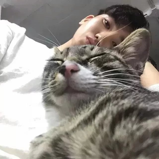 蓝力蓉珍