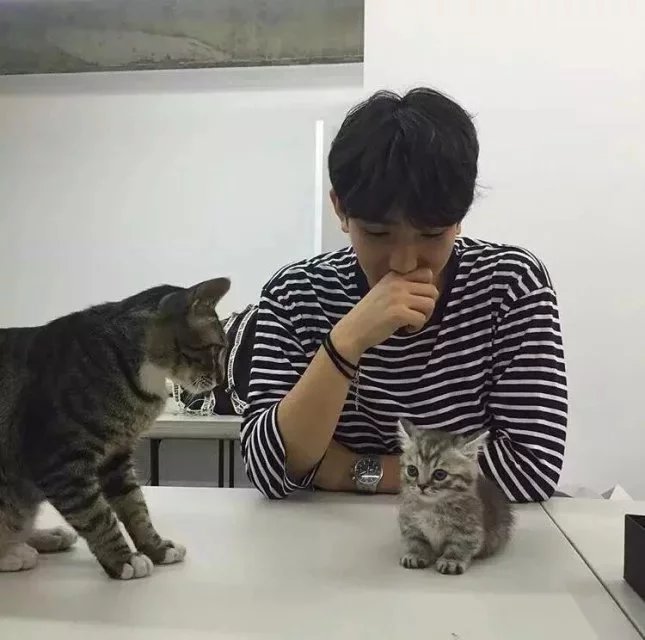 秦诚弘舒
